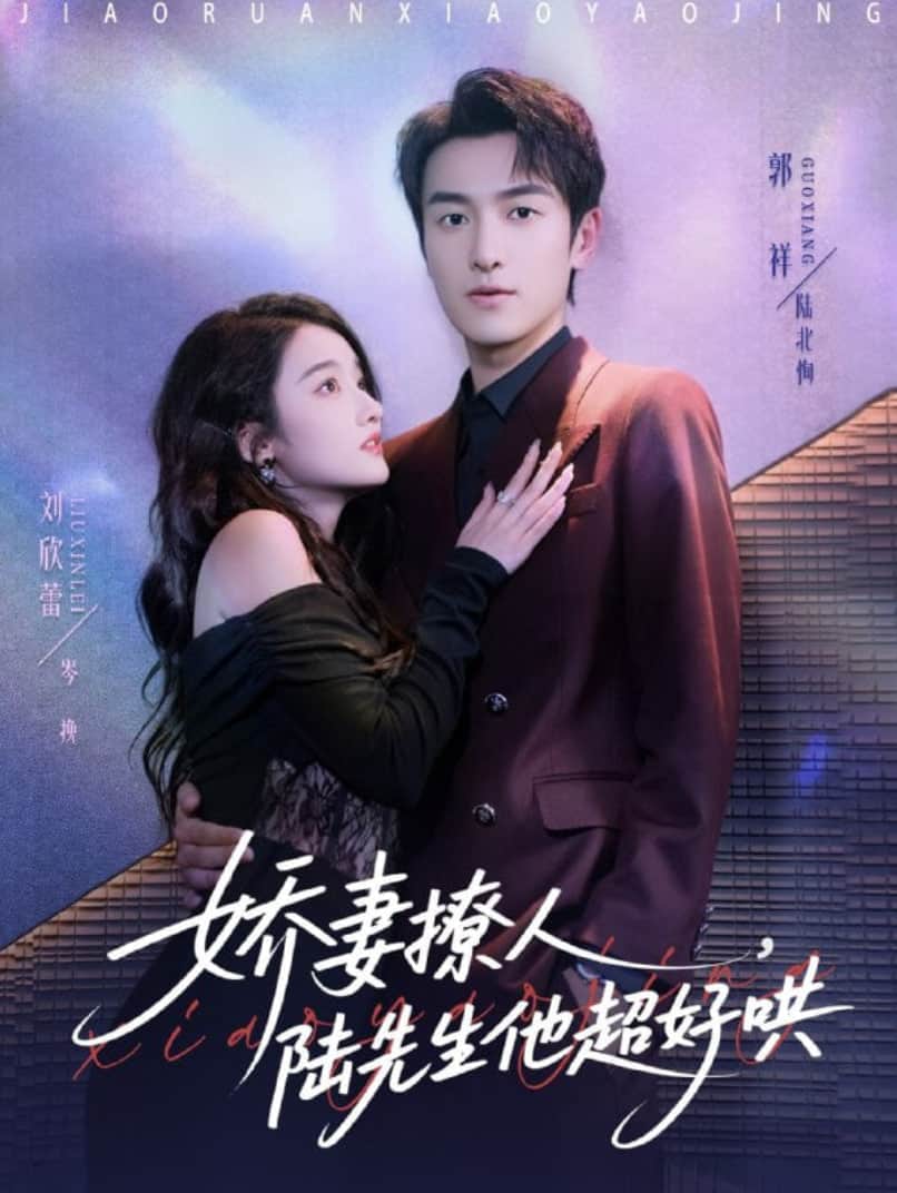 娇妻撩人,陆先生他超好哄封面