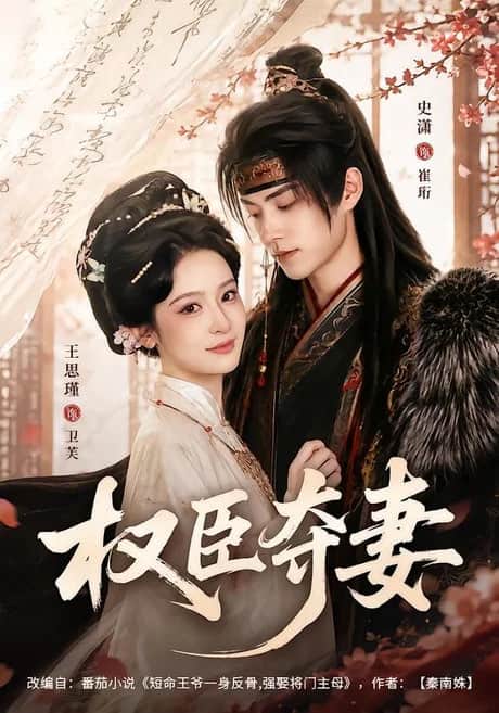 权臣夺妻封面
