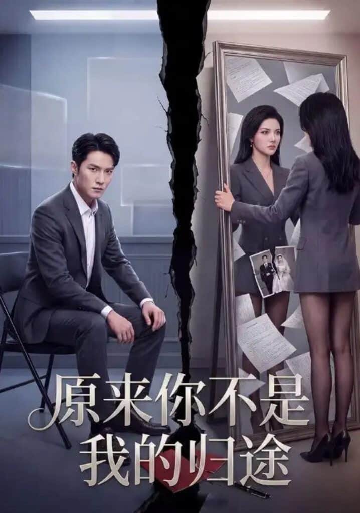 原来你不是我的归途封面