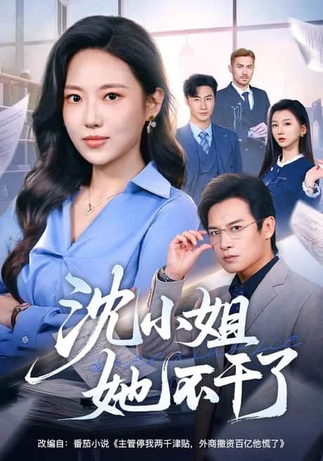 沈小姐她不干了封面